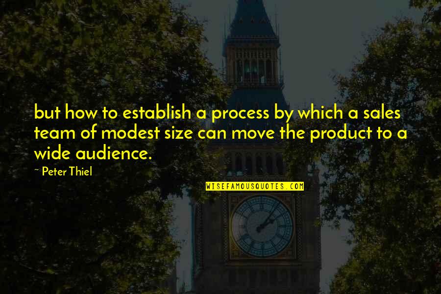 By Product Quotes By Peter Thiel: but how to establish a process by which