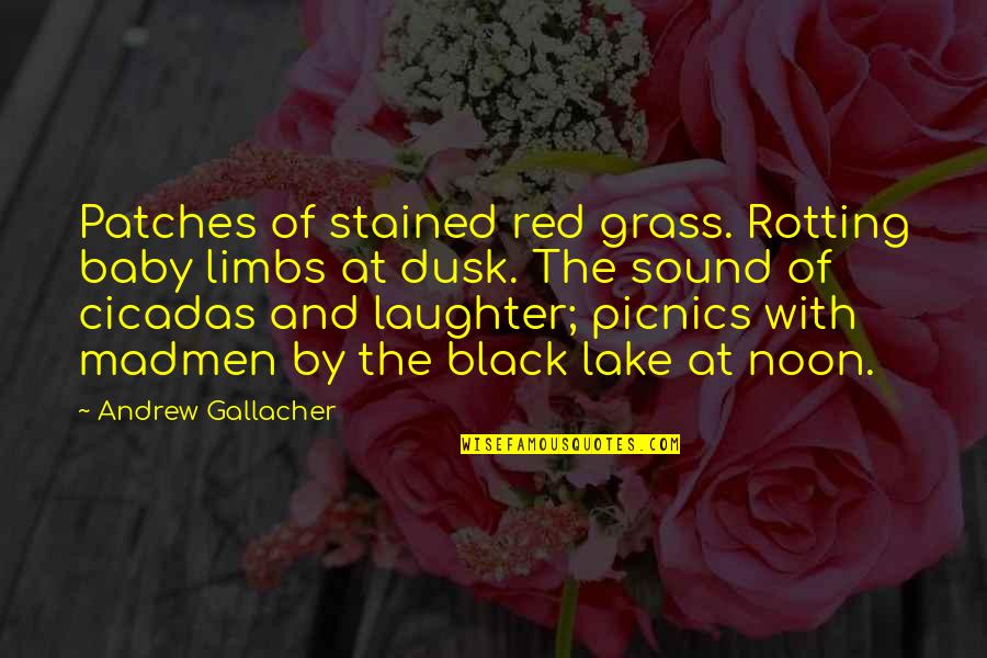 By The Lake Quotes By Andrew Gallacher: Patches of stained red grass. Rotting baby limbs