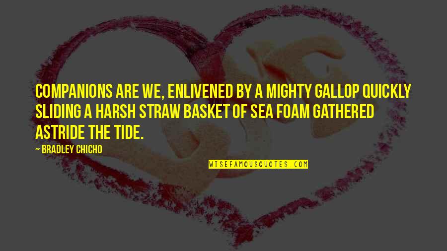 By The Sea Quotes By Bradley Chicho: Companions are we, enlivened by a mighty gallop By The Sea Quotes By Bradley Chicho: Companions are we, enlivened by a mighty gallop