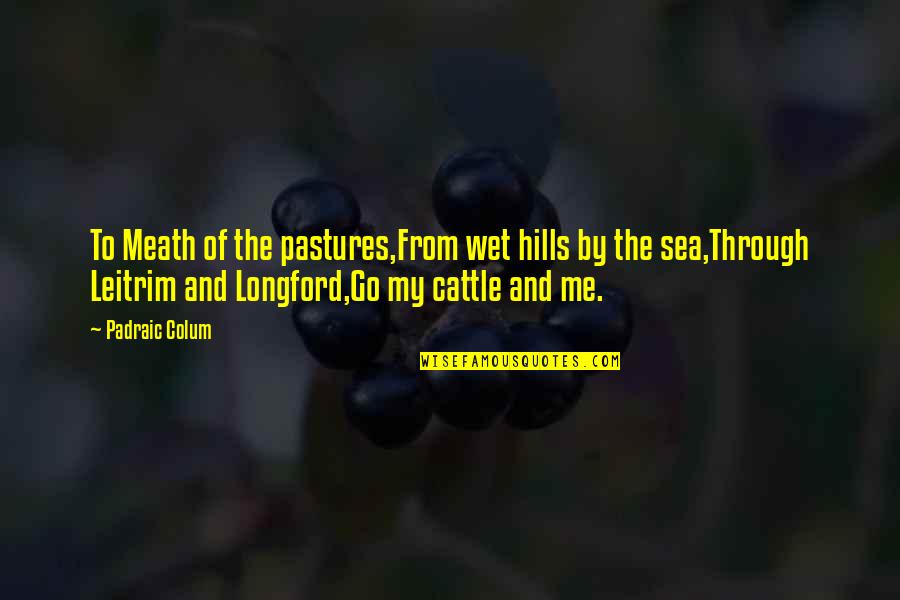 By The Sea Quotes By Padraic Colum: To Meath of the pastures,From wet hills by By The Sea Quotes By Padraic Colum: To Meath of the pastures,From wet hills by