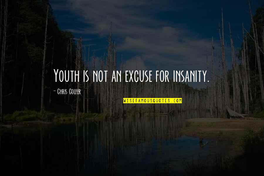 Bye Bye Single Life Quotes By Chris Colfer: Youth is not an excuse for insanity.