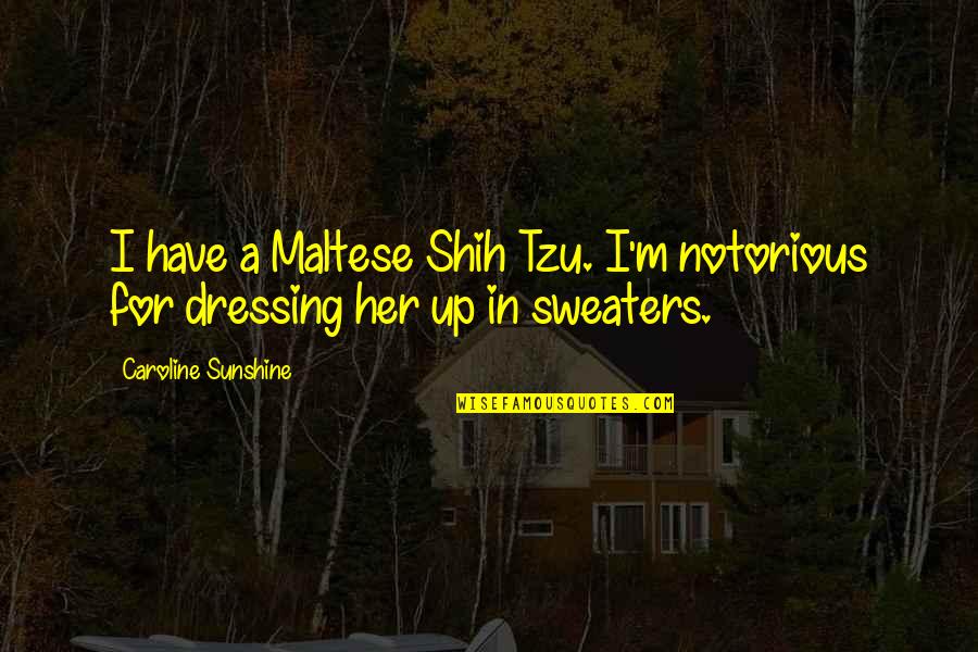 Bynder San Mateo Quotes By Caroline Sunshine: I have a Maltese Shih Tzu. I'm notorious Bynder San Mateo Quotes By Caroline Sunshine: I have a Maltese Shih Tzu. I'm notorious