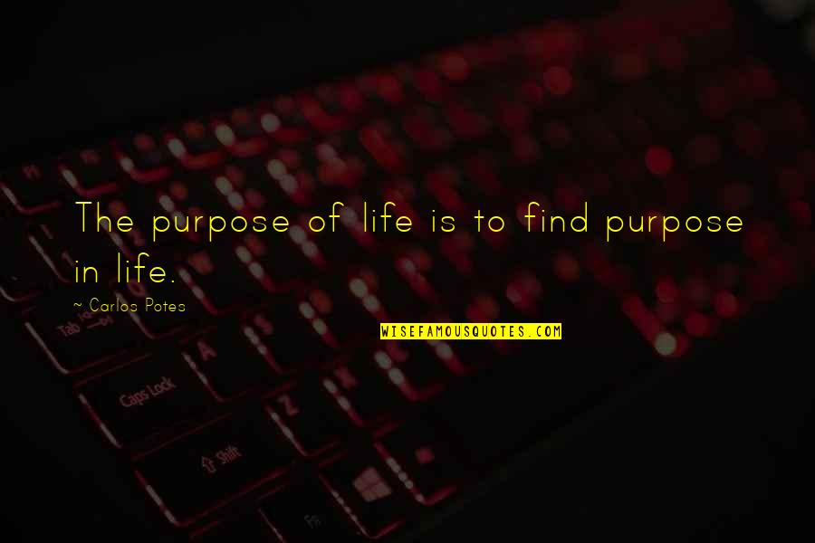 Byrde And The B Quotes By Carlos Potes: The purpose of life is to find purpose