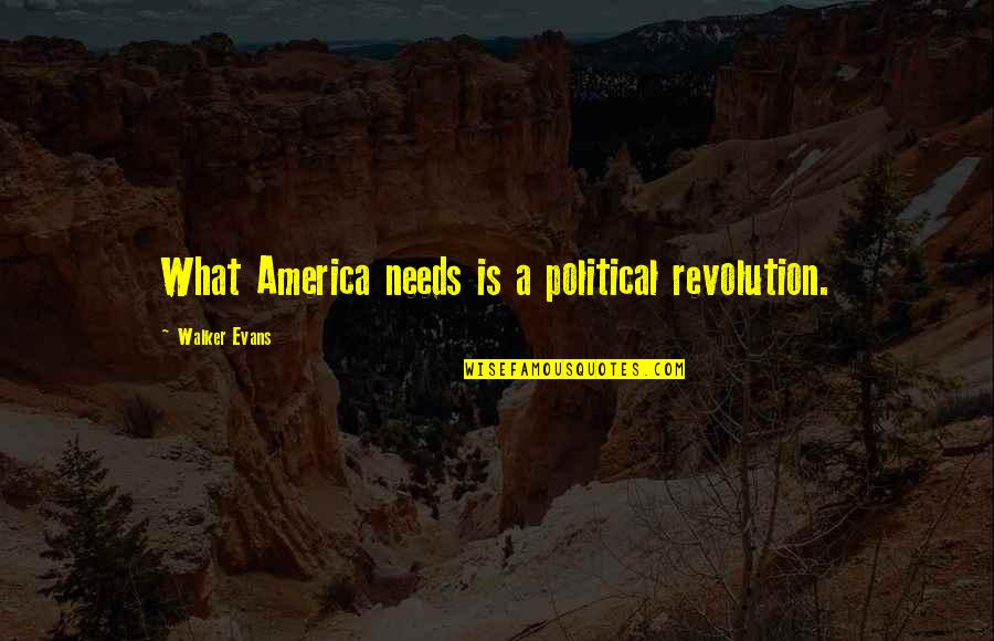 Byrson Tiller Quotes By Walker Evans: What America needs is a political revolution. Byrson Tiller Quotes By Walker Evans: What America needs is a political revolution.