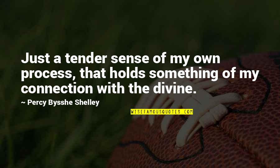 Bysshe Shelley Quotes By Percy Bysshe Shelley: Just a tender sense of my own process,