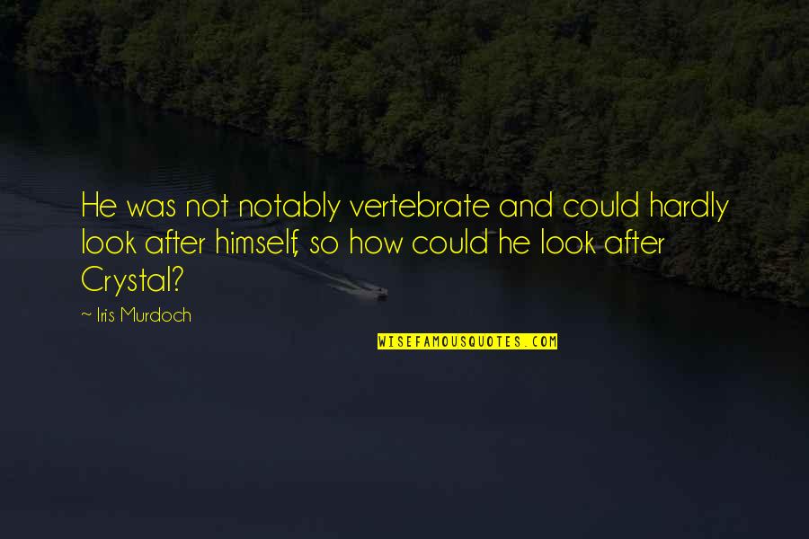 Bystander Conflict Quotes By Iris Murdoch: He was not notably vertebrate and could hardly