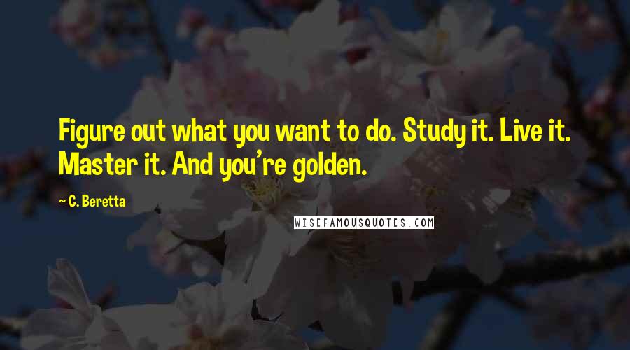C. Beretta quotes: Figure out what you want to do. Study it. Live it. Master it. And you're golden.