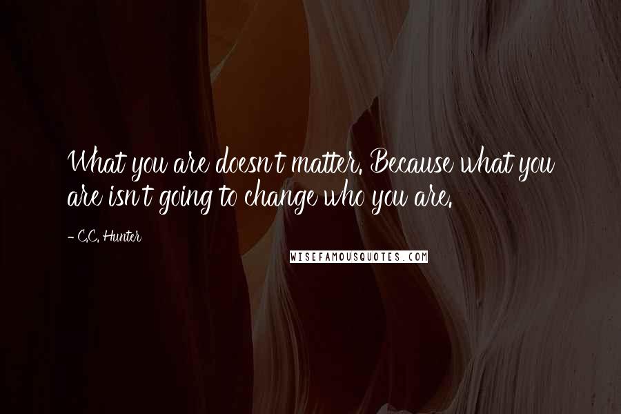 C.C. Hunter quotes: What you are doesn't matter. Because what you are isn't going to change who you are.