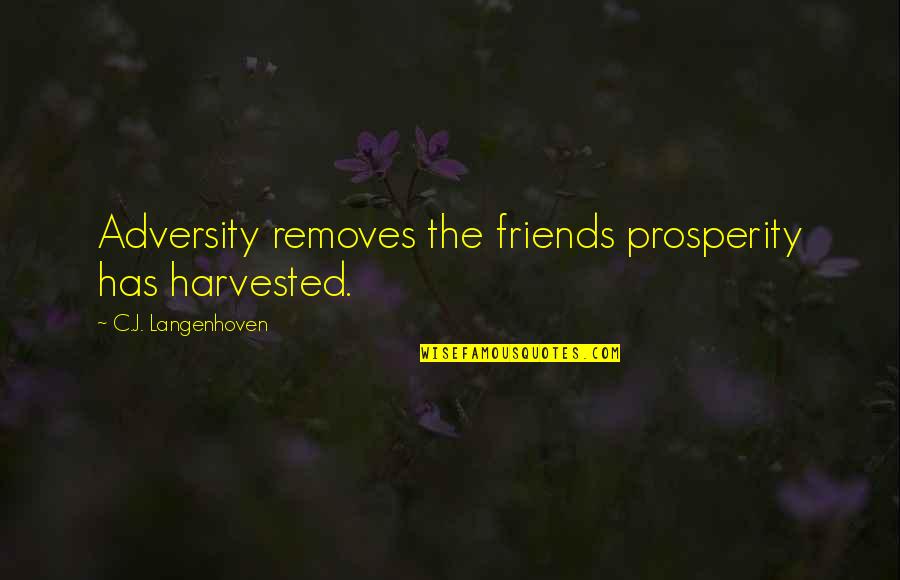 C J Langenhoven Quotes By C.J. Langenhoven: Adversity removes the friends prosperity has harvested.
