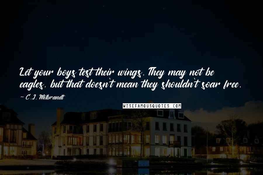 C.J. Milbrandt quotes: Let your boys test their wings. They may not be eagles, but that doesn't mean they shouldn't soar free.