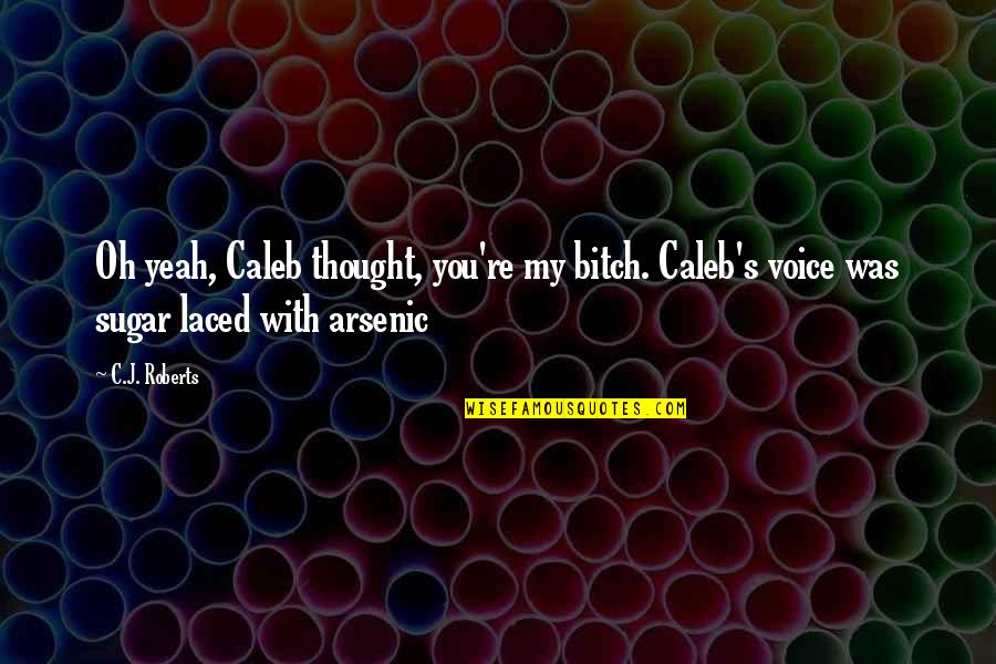 C J Roberts Quotes By C.J. Roberts: Oh yeah, Caleb thought, you're my bitch. Caleb's