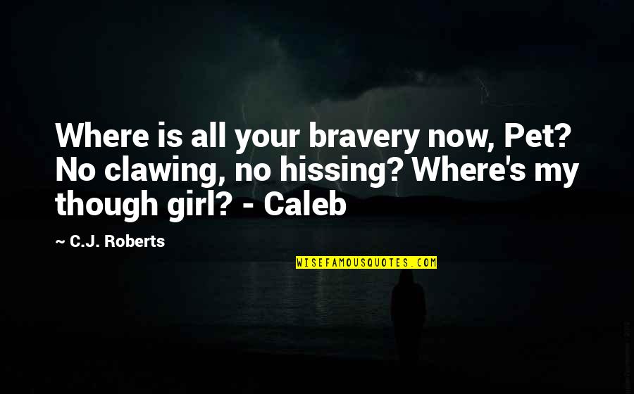 C J Roberts Quotes By C.J. Roberts: Where is all your bravery now, Pet? No