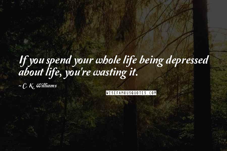 C. K. Williams quotes: If you spend your whole life being depressed about life, you're wasting it.