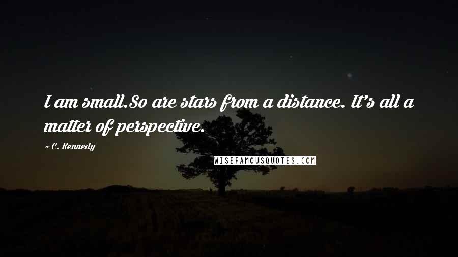 C. Kennedy quotes: I am small.So are stars from a distance. It's all a matter of perspective.
