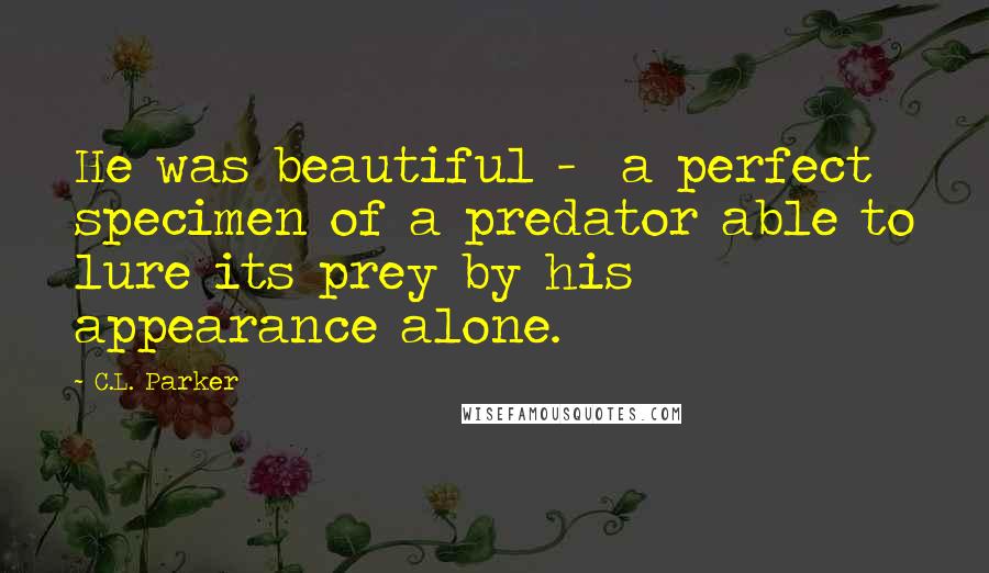 C.L. Parker quotes: He was beautiful - a perfect specimen of a predator able to lure its prey by his appearance alone.