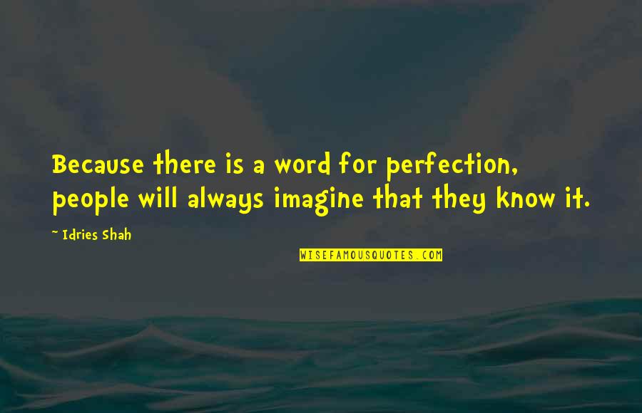 C Omics Quotes By Idries Shah: Because there is a word for perfection, people