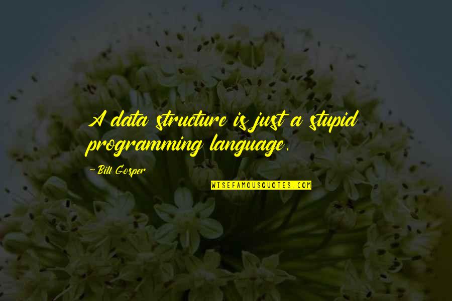 C Programming Language Quotes By Bill Gosper: A data structure is just a stupid programming