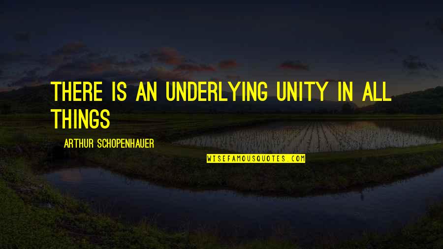 C S Lewis And Catholicism Quotes By Arthur Schopenhauer: There is an underlying unity in all things