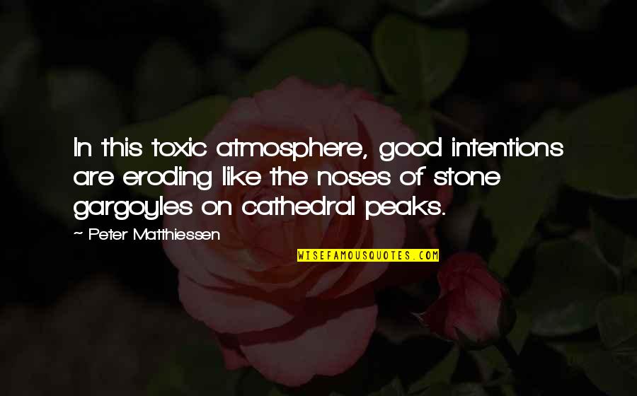 C Section Inspirational Quotes By Peter Matthiessen: In this toxic atmosphere, good intentions are eroding