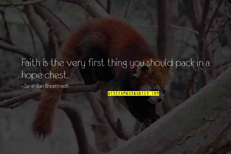 C Slovky Druhy Quotes By Sarah Ban Breathnach: Faith is the very first thing you should