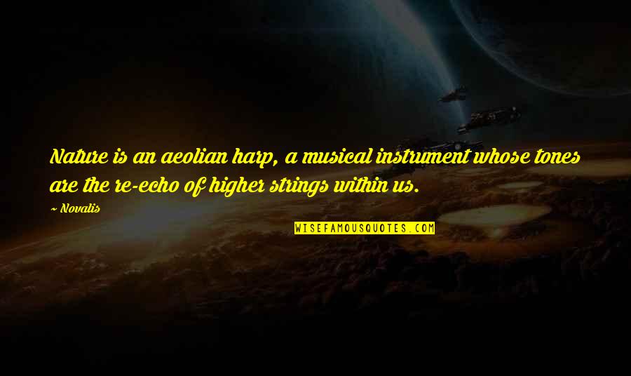 C Strings In Quotes By Novalis: Nature is an aeolian harp, a musical instrument C Strings In Quotes By Novalis: Nature is an aeolian harp, a musical instrument