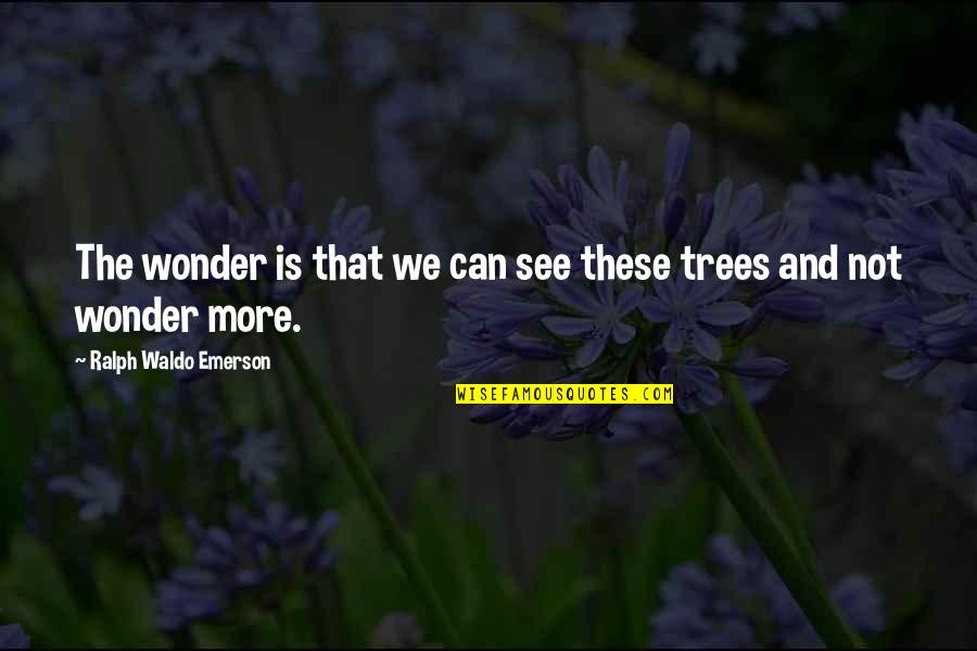 C Thomas Howell Quotes By Ralph Waldo Emerson: The wonder is that we can see these