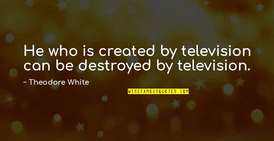 Ca Profession Quotes By Theodore White: He who is created by television can be