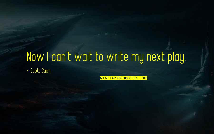 Caan Quotes By Scott Caan: Now I can't wait to write my next