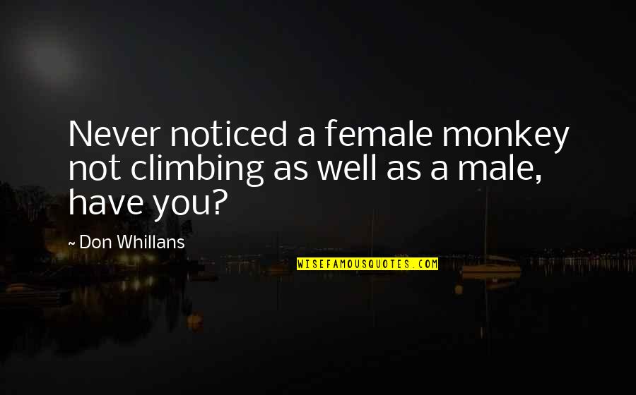 Cabalgadura Quotes By Don Whillans: Never noticed a female monkey not climbing as