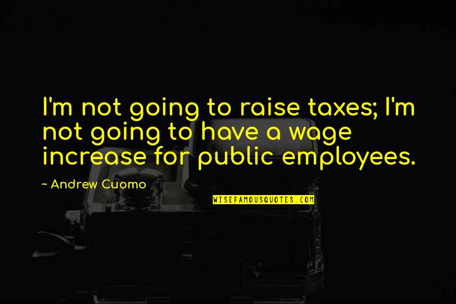 Caballus Quotes By Andrew Cuomo: I'm not going to raise taxes; I'm not