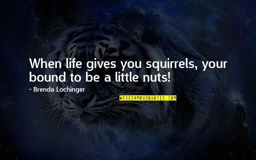 Cabalona Quotes By Brenda Lochinger: When life gives you squirrels, your bound to