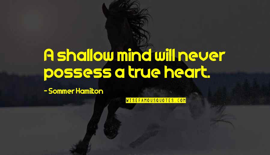 Cabanes Quotes By Sommer Hamilton: A shallow mind will never possess a true