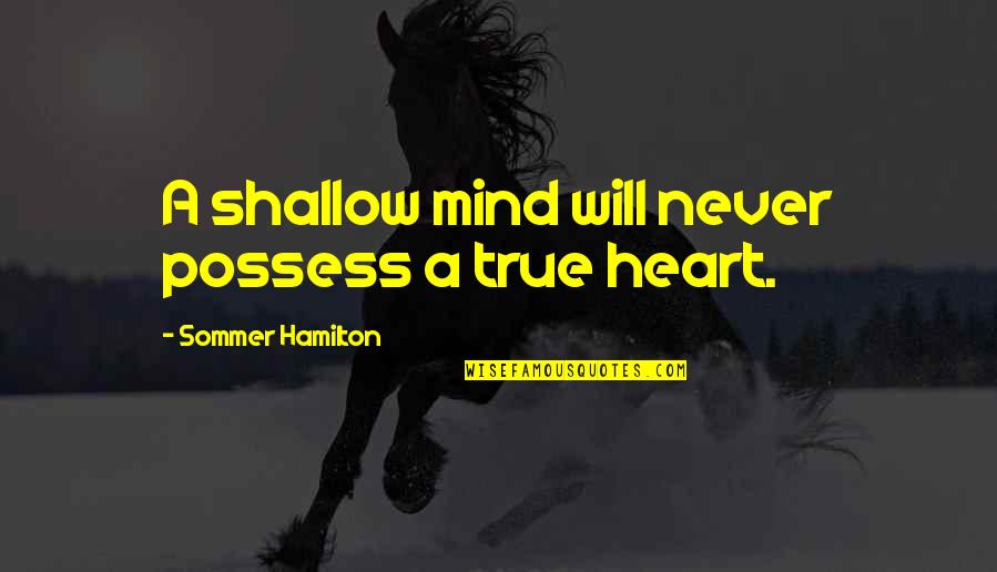 Cabanes Quotes By Sommer Hamilton: A shallow mind will never possess a true Cabanes Quotes By Sommer Hamilton: A shallow mind will never possess a true