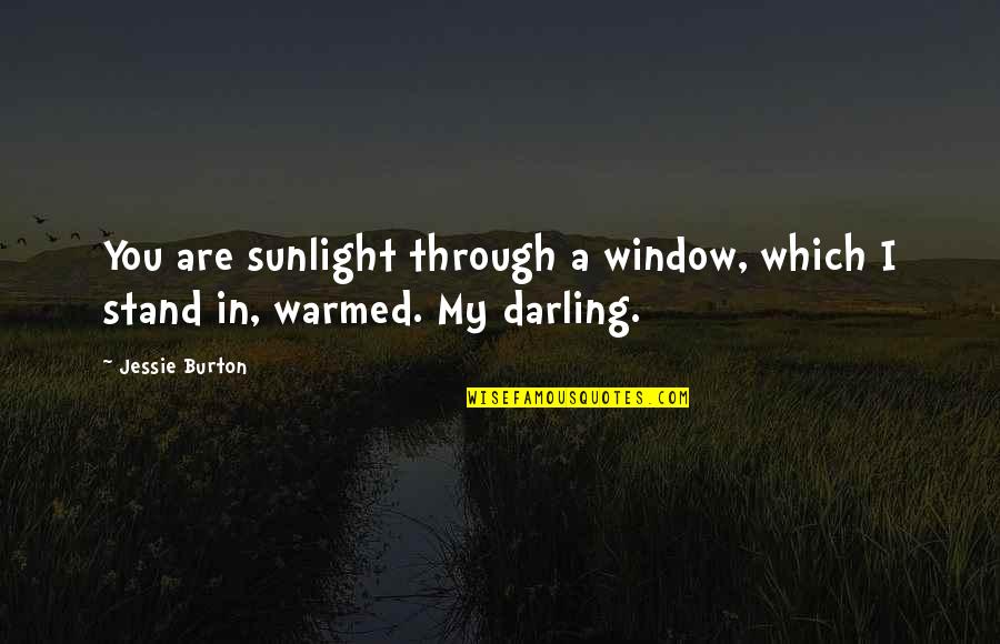 Cabezota In English Quotes By Jessie Burton: You are sunlight through a window, which I