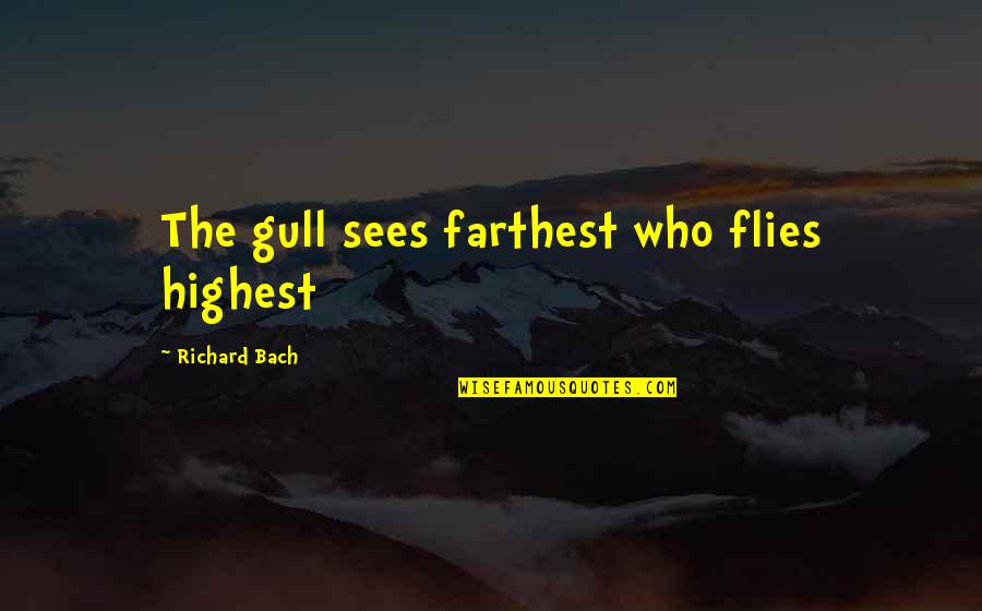 Cabos Quotes By Richard Bach: The gull sees farthest who flies highest