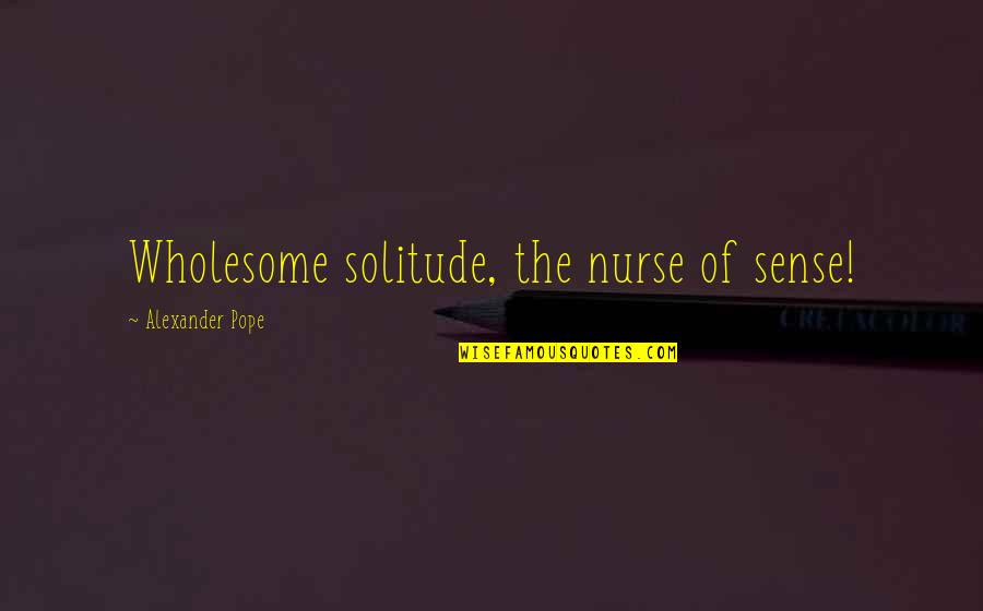 Cabreada Significa Quotes By Alexander Pope: Wholesome solitude, the nurse of sense!