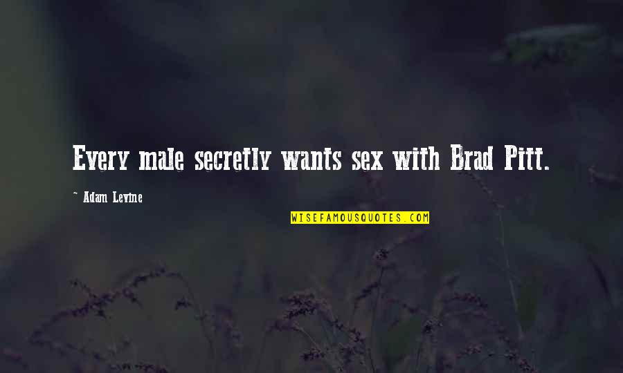 Cabrujas Quotes By Adam Levine: Every male secretly wants sex with Brad Pitt.