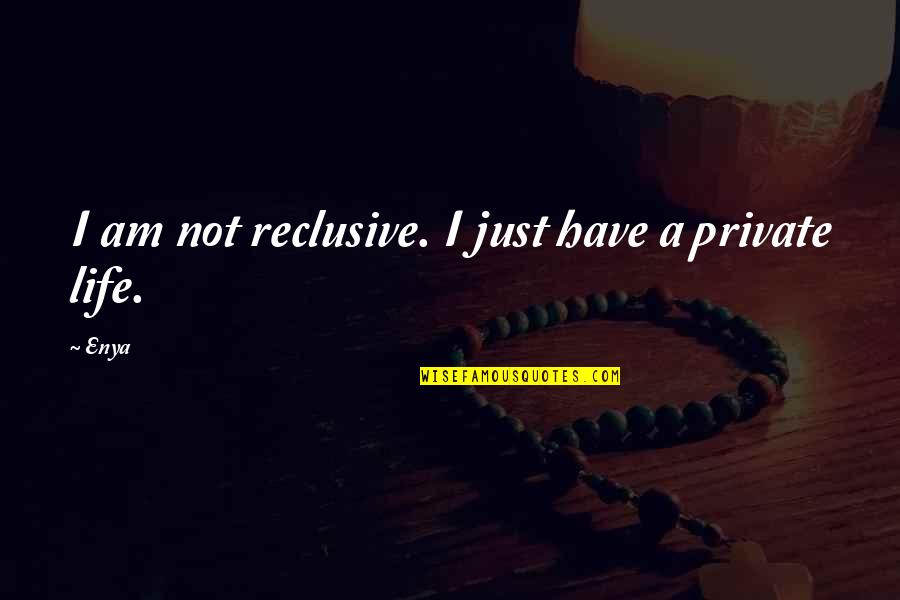 Cacador De Pipas Quotes By Enya: I am not reclusive. I just have a