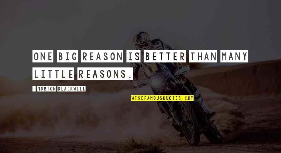 Cache Film Quotes By Morton Blackwell: One big reason is better than many little Cache Film Quotes By Morton Blackwell: One big reason is better than many little