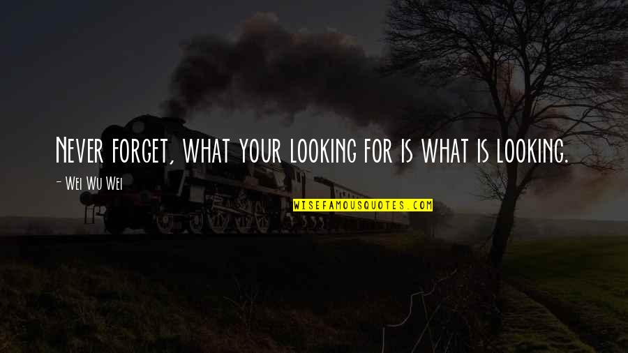 Cachimbo Turco Quotes By Wei Wu Wei: Never forget, what your looking for is what