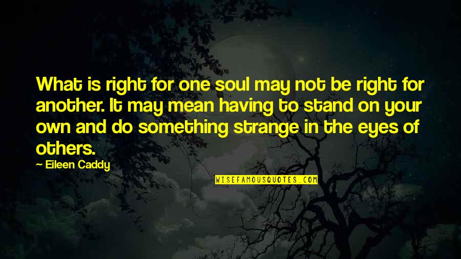 Caddy Quotes By Eileen Caddy: What is right for one soul may not