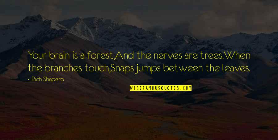 Cadreman Quotes By Rich Shapero: Your brain is a forest,And the nerves are