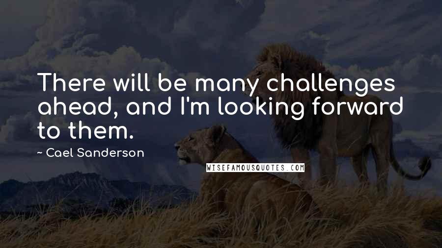 Cael Sanderson quotes: There will be many challenges ahead, and I'm looking forward to them.