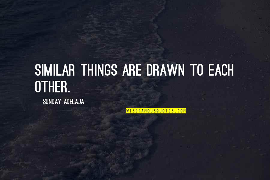 Caesar From Brutus In Julius Caesar Quotes By Sunday Adelaja: Similar things are drawn to each other.