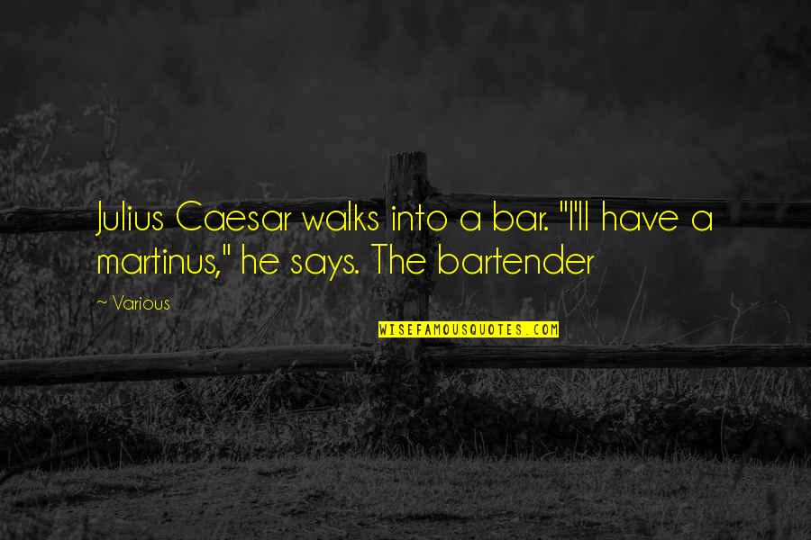 Caesar Quotes By Various: Julius Caesar walks into a bar. "I'll have