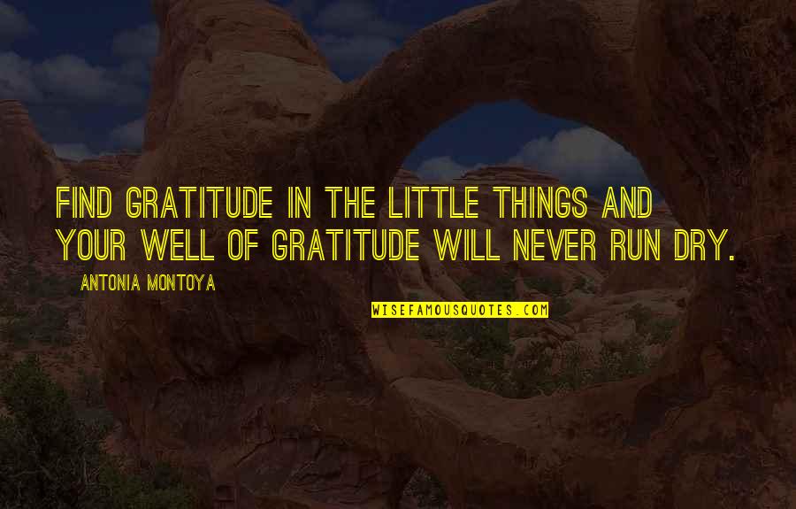 Caesarius Of Heisterbach Quotes By Antonia Montoya: Find gratitude in the little things and your
