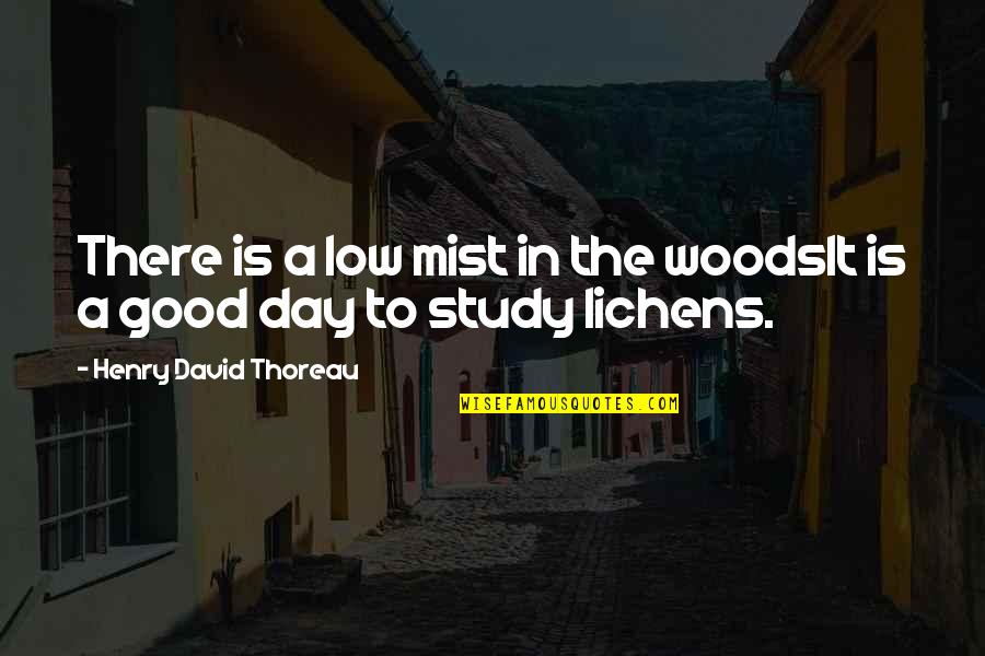 Cafaro Scholarship Quotes By Henry David Thoreau: There is a low mist in the woodsIt