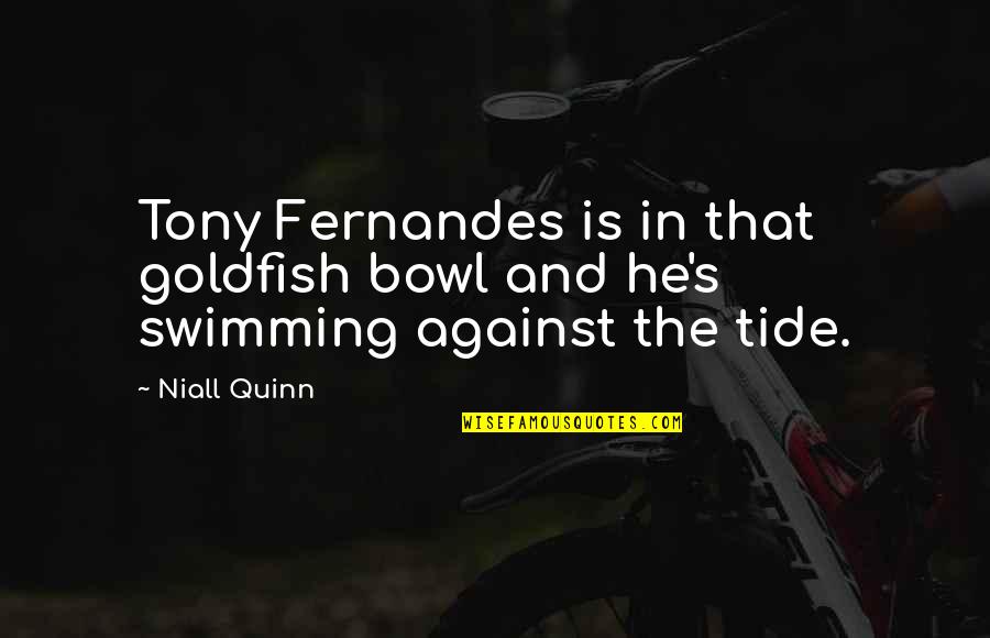 Cafea Lavazza Quotes By Niall Quinn: Tony Fernandes is in that goldfish bowl and