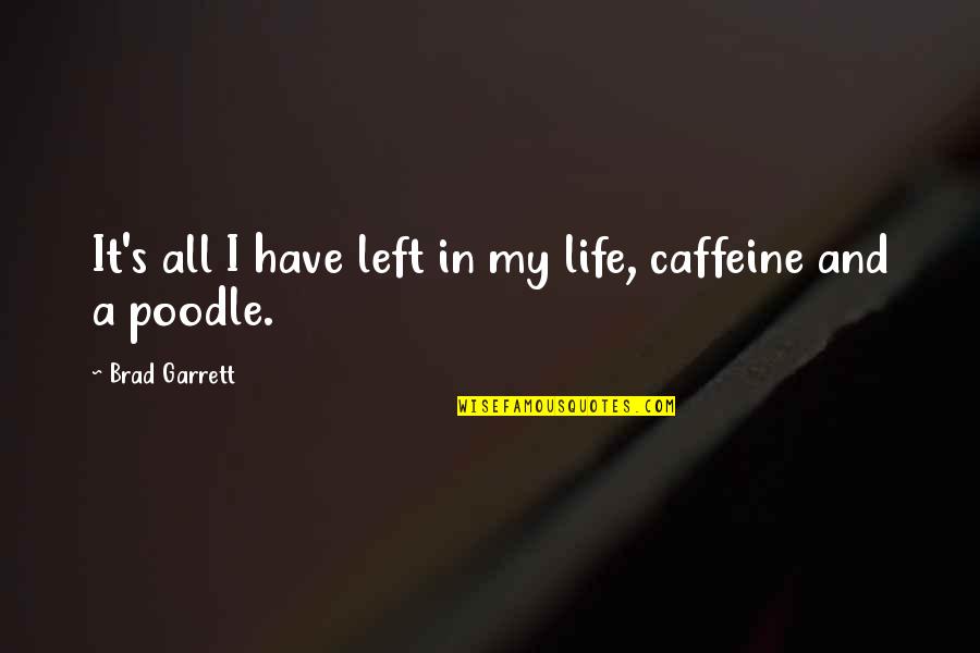 Caffeine's Quotes By Brad Garrett: It's all I have left in my life,