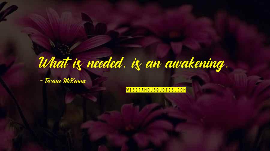 Caforio For Congress Quotes By Terence McKenna: What is needed, is an awakening. Caforio For Congress Quotes By Terence McKenna: What is needed, is an awakening.